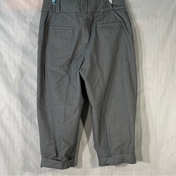 Poleci Gray Capris Pants Zipper Front Detailed Cuff Plus Size 14 - Picture 4 of 10